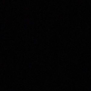 Meet your Posher, Celeste